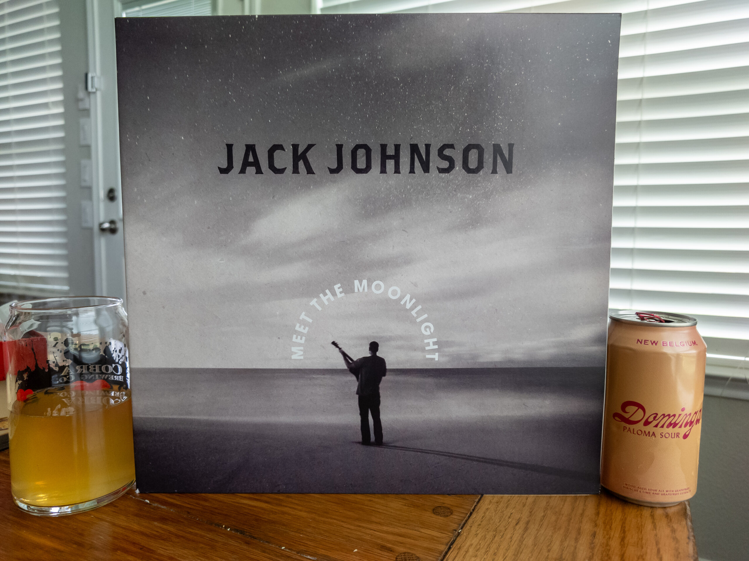Vinyl 'n Beer | Jack Johnson's Meet The Moonlight - Everdayday 